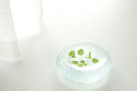 �C���[�W04